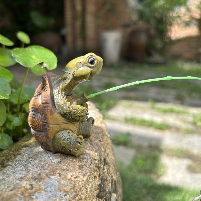 Aquarium Fish Gallery - Turtle fishing fish tank aquarium decoration
