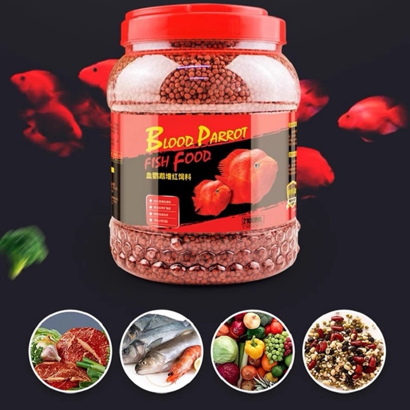 Aquarium Fish Parrot - Blood Parrot Fish Pellet Feed Fish