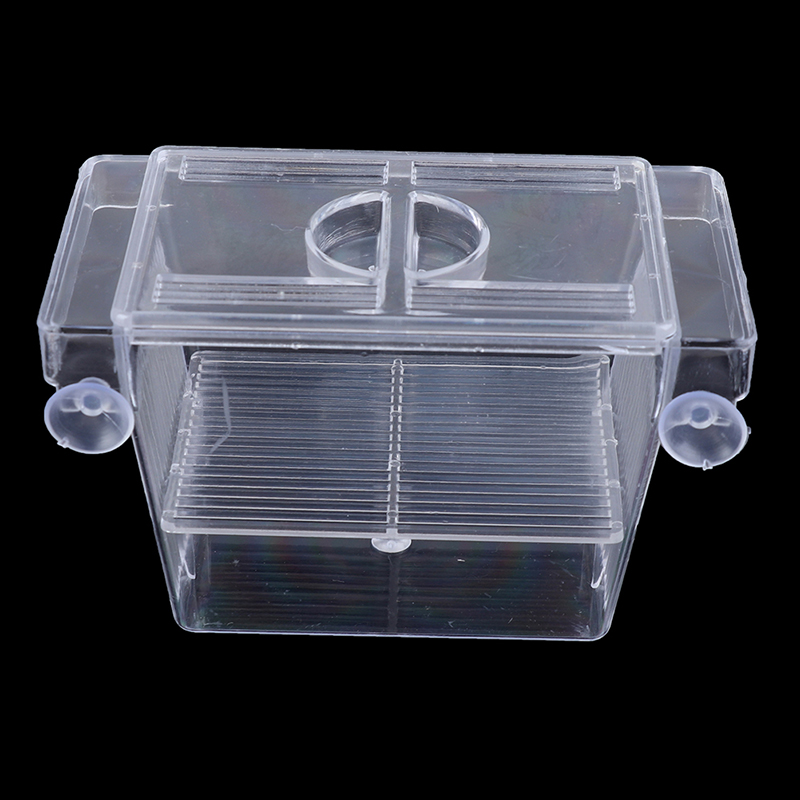 Aquarium Xxl - Aquarium Fish Tank Guppy Double Breeding