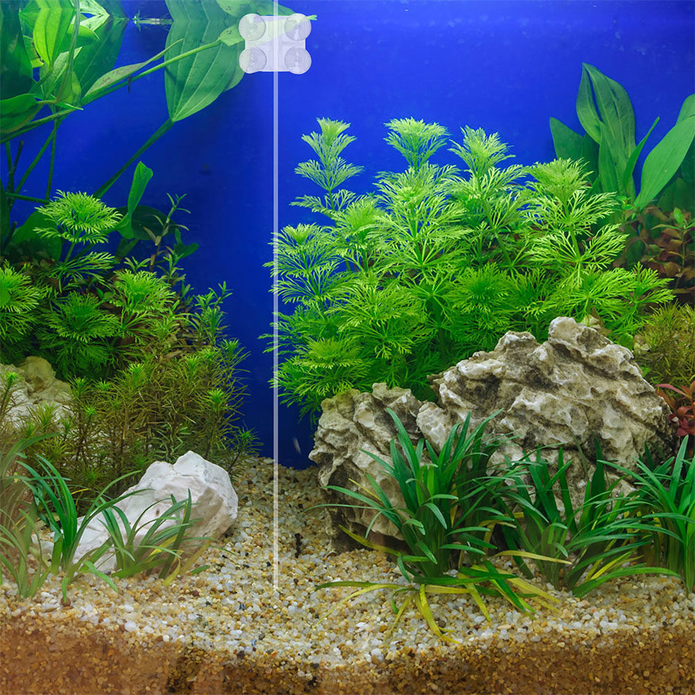 Aquarium Fish Rate - Acrylic Aquarium Divider Clip Suction Cup
