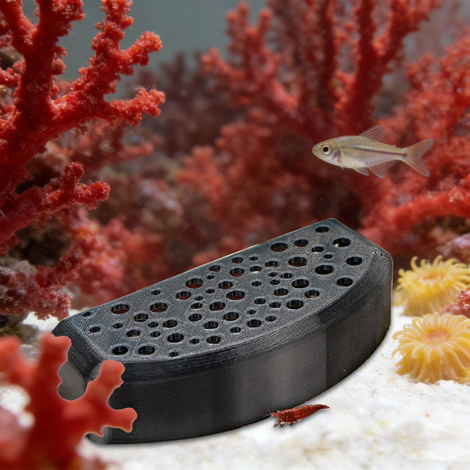 Aquatic Pet Rest Ornament Mult - Aquarium Fish Zone avis et prix