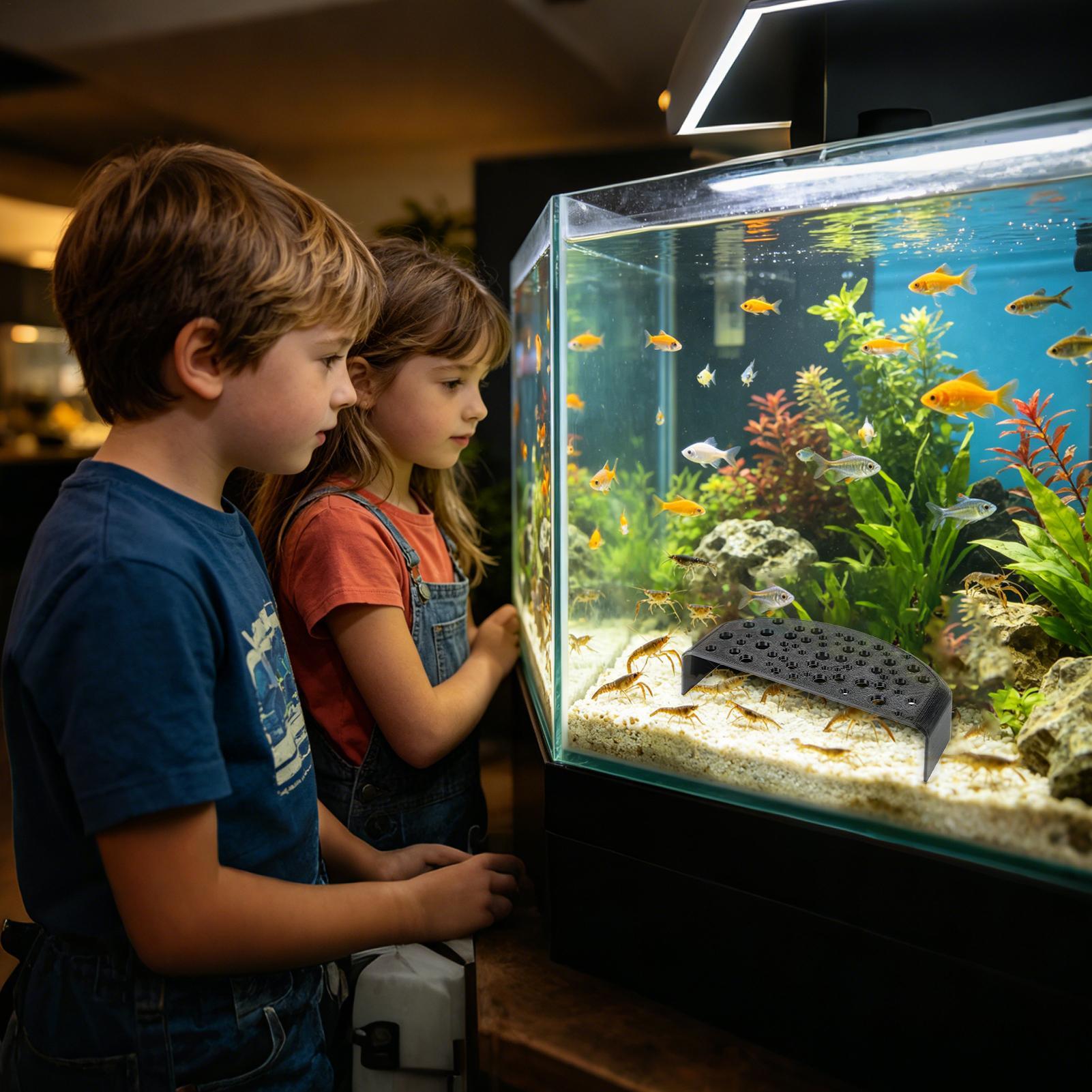 Aquatic Pet Rest Ornament Mult - Aquarium Fish Zone avis et prix
