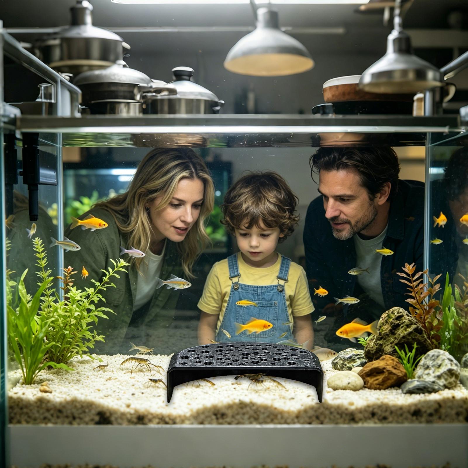 Aquatic Pet Rest Ornament Mult - Aquarium Fish Zone avis et prix