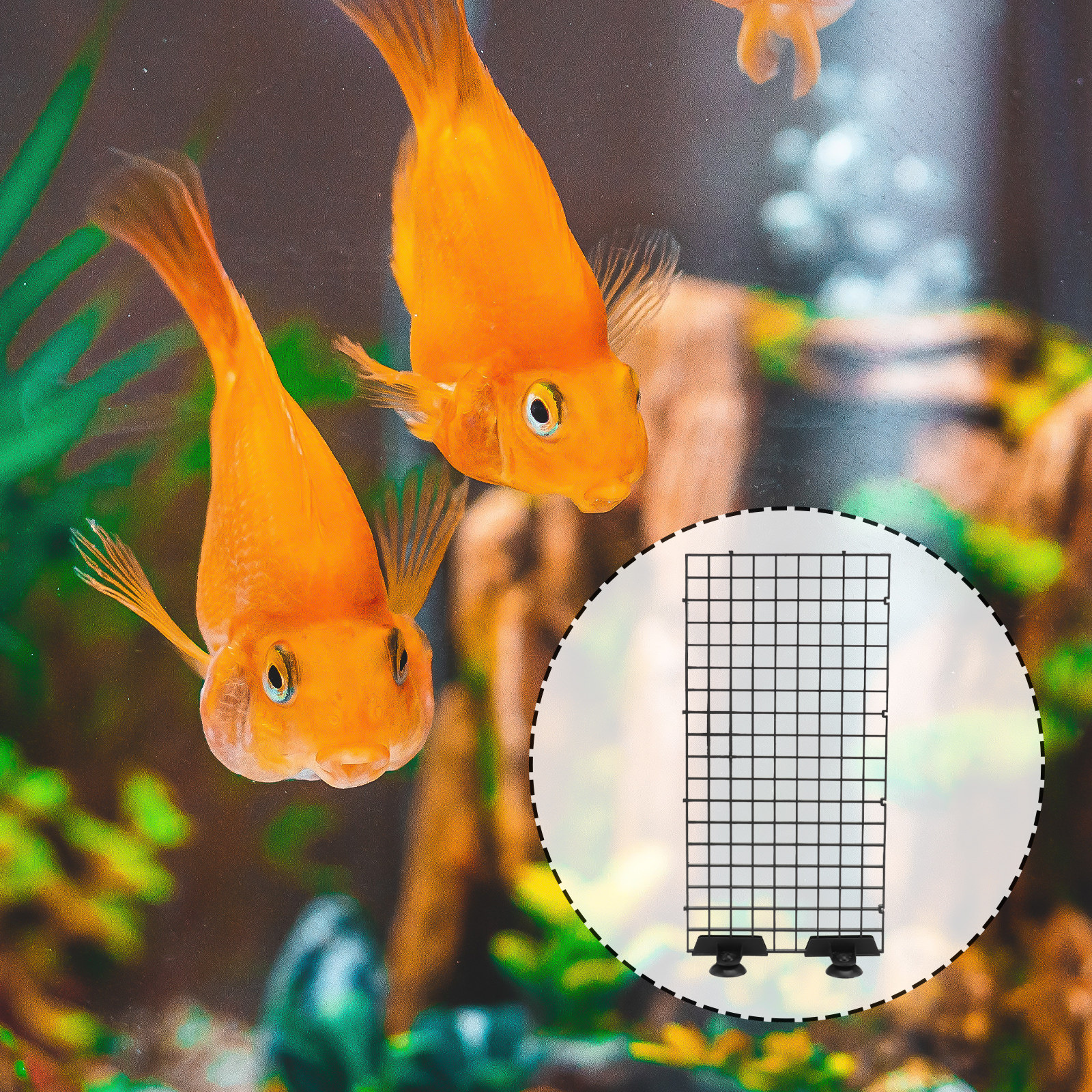 Aquarium Fish Net Hatchery Big - Aquarium Fish Rate avis et prix