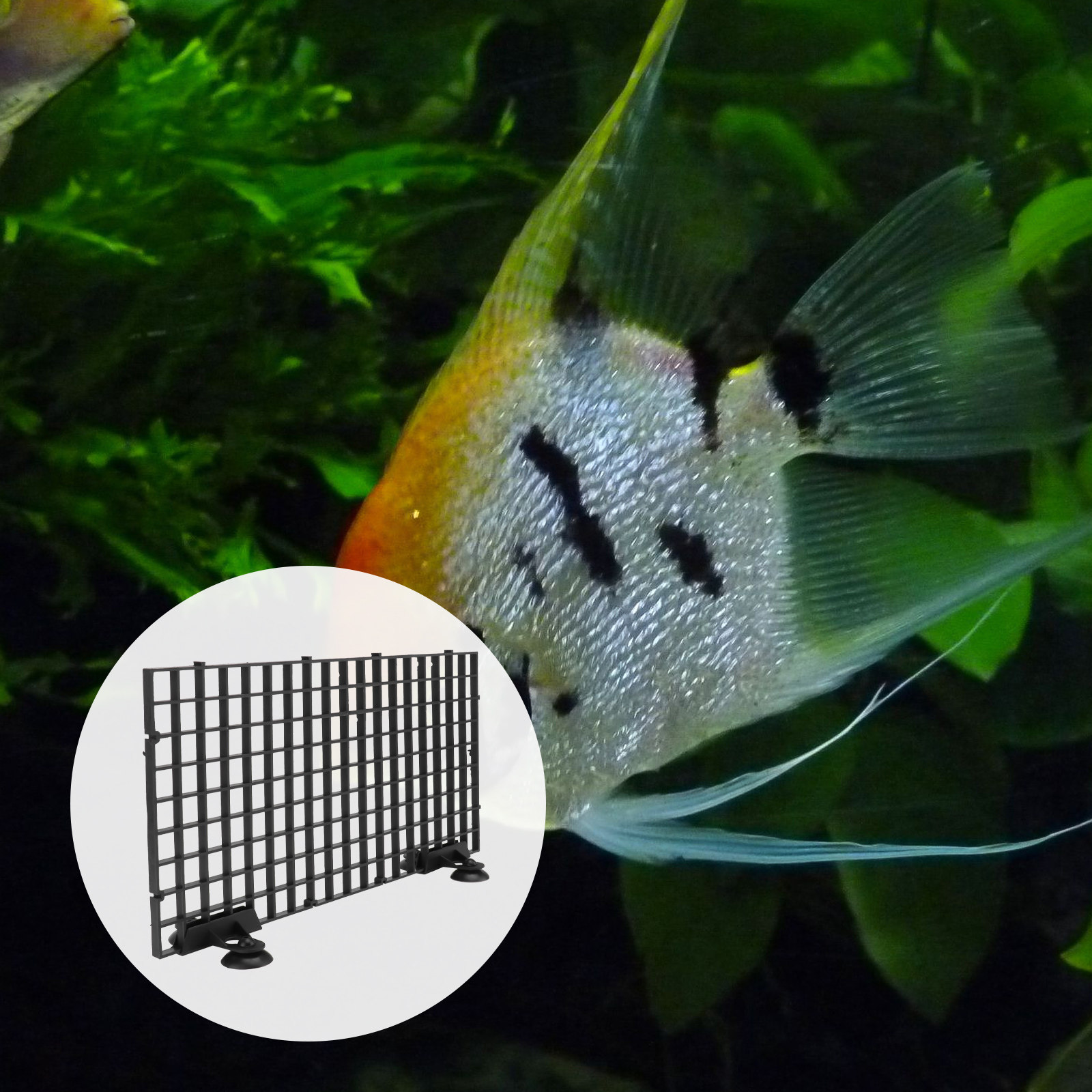Aquarium Fish Net Hatchery Big - Aquarium Fish Rate avis et prix