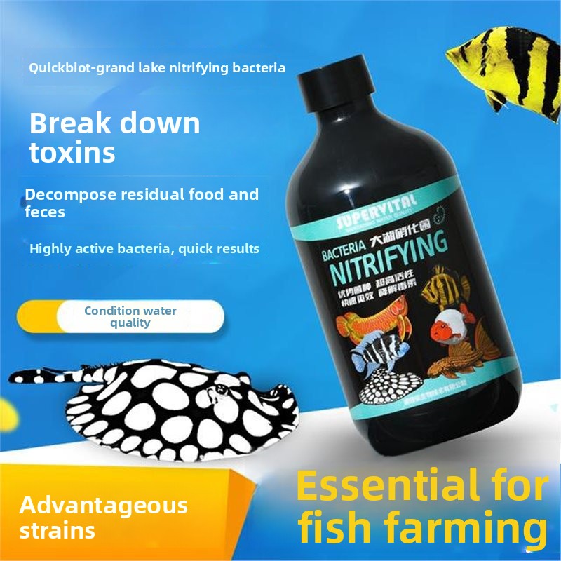SUPERVITAL 3-in-1 Water Condit - Aquarium Fish Vitamin avis et prix