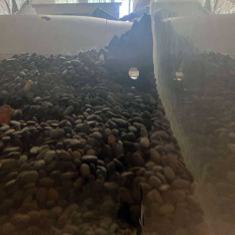 Aquarium Decoration Fish Tank  - Aquarium Fish Parrot avis et prix