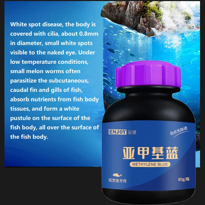 Methylene Blue Ornamental Fish - Aquarium Fish Parrot avis et prix