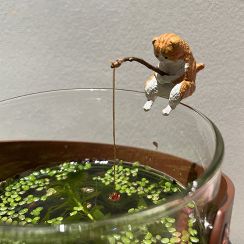 1Pc Creative Fishing Cat Fish  - Aquarium Fish Real avis et prix