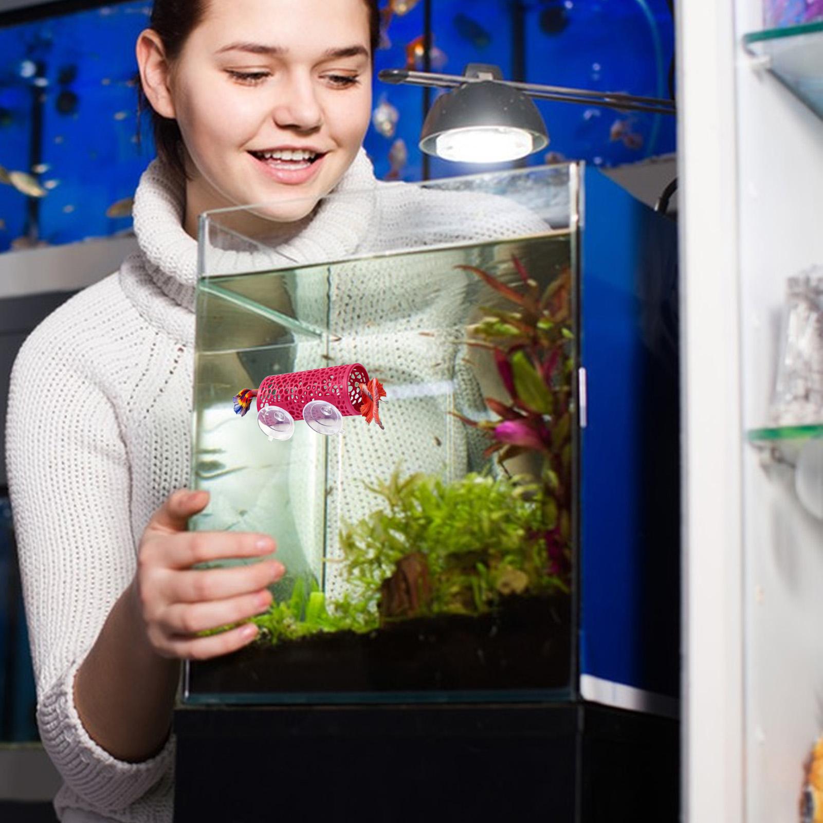 Betta Habitat Resting Shelter  - Aquarium Fish Real avis et prix