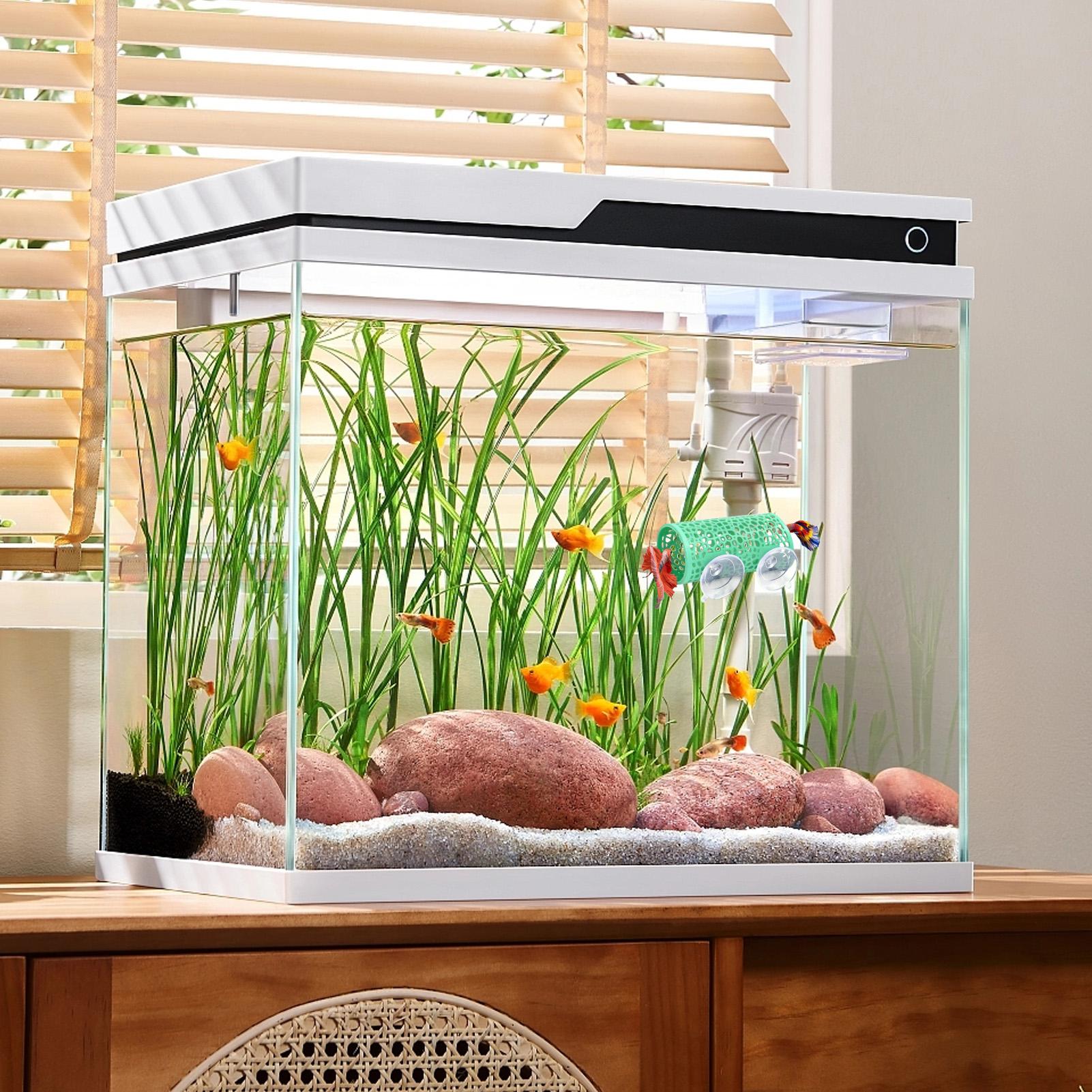Betta Habitat Resting Shelter  - Aquarium Fish Real avis et prix