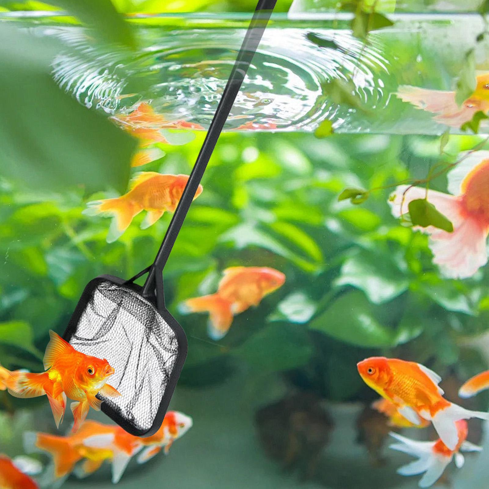Pool Nets for Cleaning Portabl - Aquarium Fish Real avis et prix