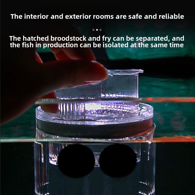 Acrylic Breeding Box Aquarium  - Aquarium Fish Parrot avis et prix