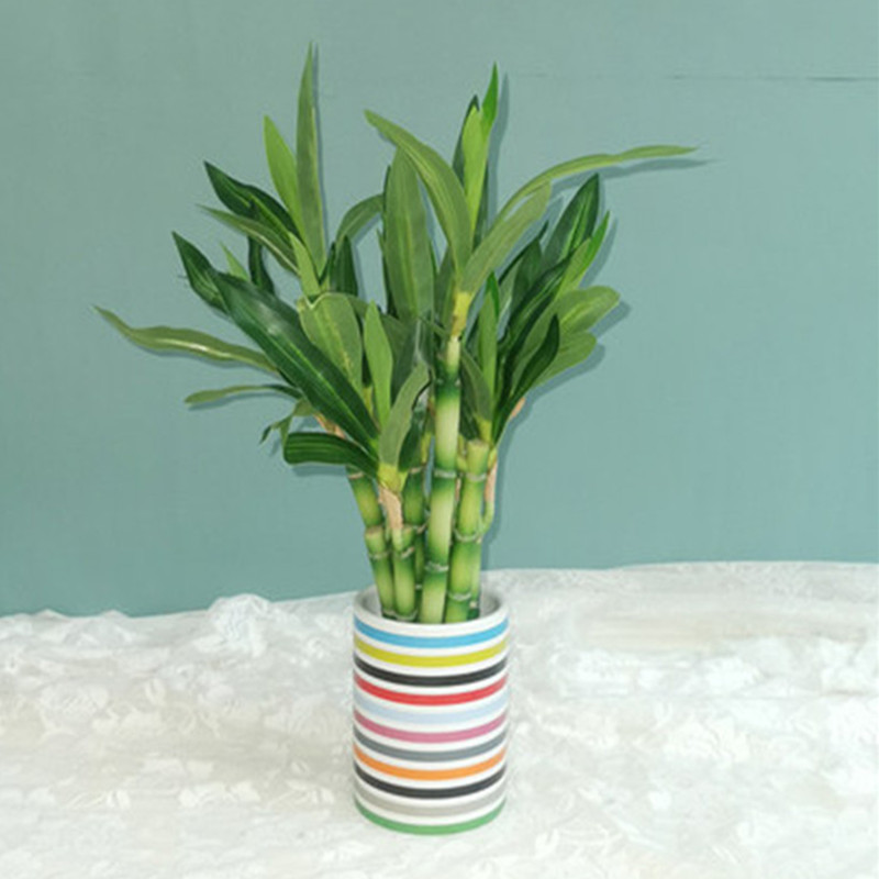 New 40cm rFtificial Lucky Bamb - Aquarium Fish Gallery avis et prix