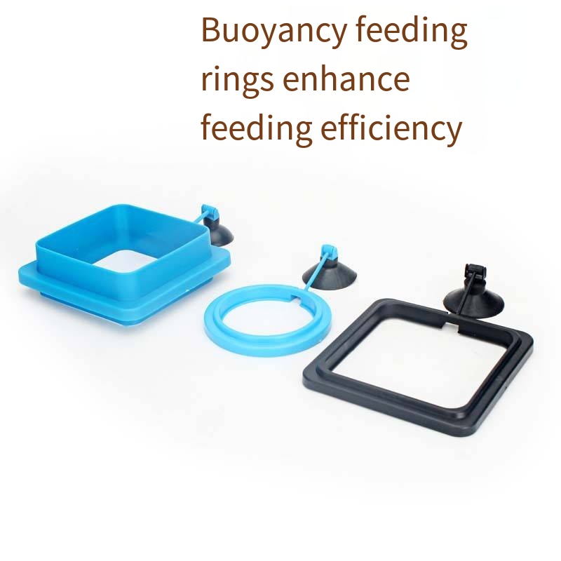 1PCS Various fish feed areas,  - Aquarium Fish Zone avis et prix