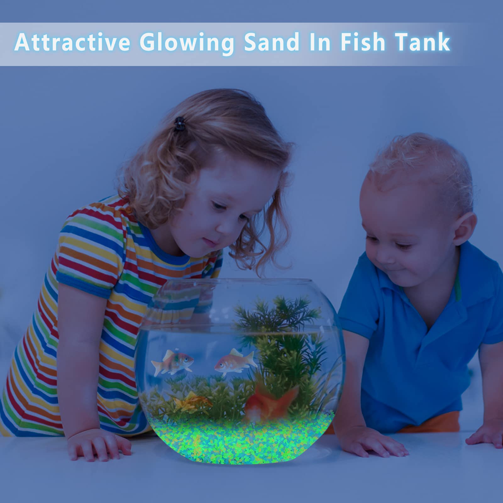 1000Pcs Luminous Sand Glow In  - Aquarium Fish Real avis et prix