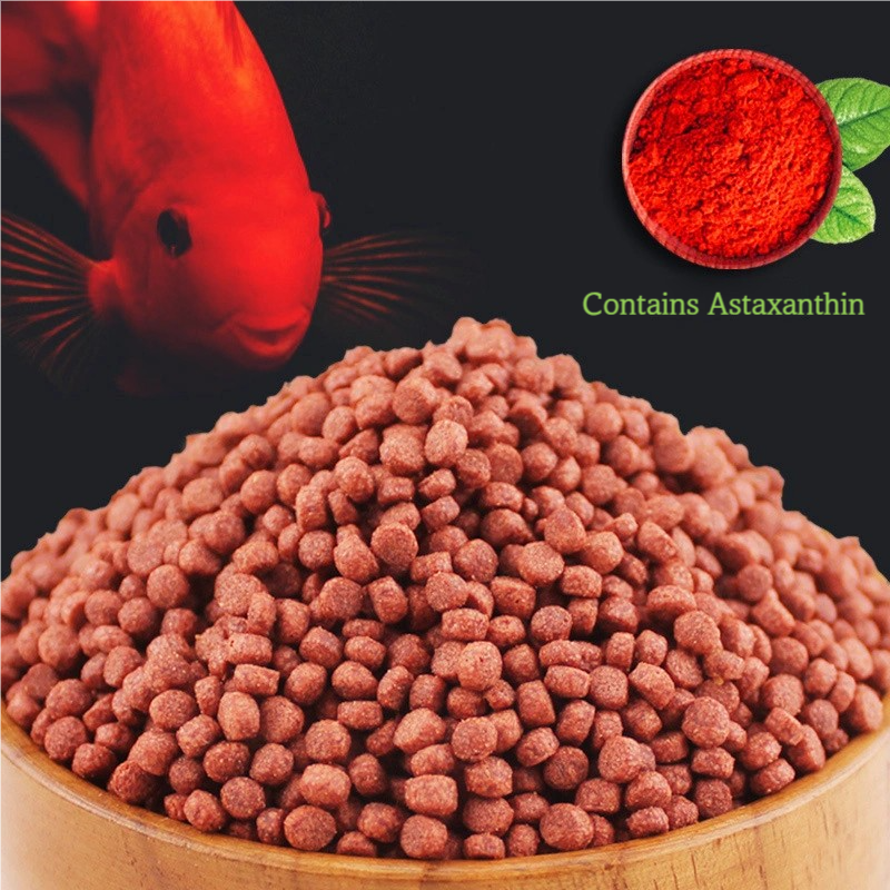 Blood Parrot Fish Pellet Feed  - Aquarium Fish Parrot avis et prix