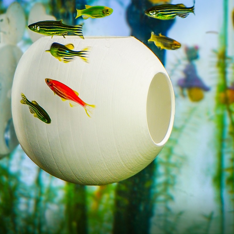 Aquarium Creative Ornament 3D  - Aquarium Fish Parrot avis et prix