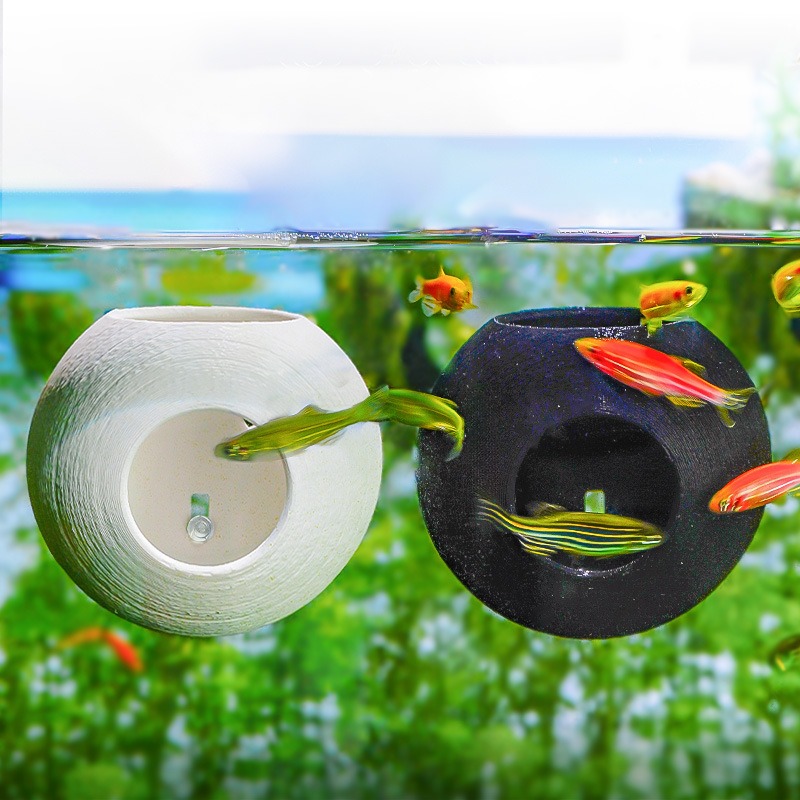 Aquarium Creative Ornament 3D  - Aquarium Fish Parrot avis et prix