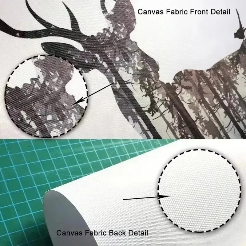 A Frameless Green Flower Head  - Live Plant Fertilizer avis et prix