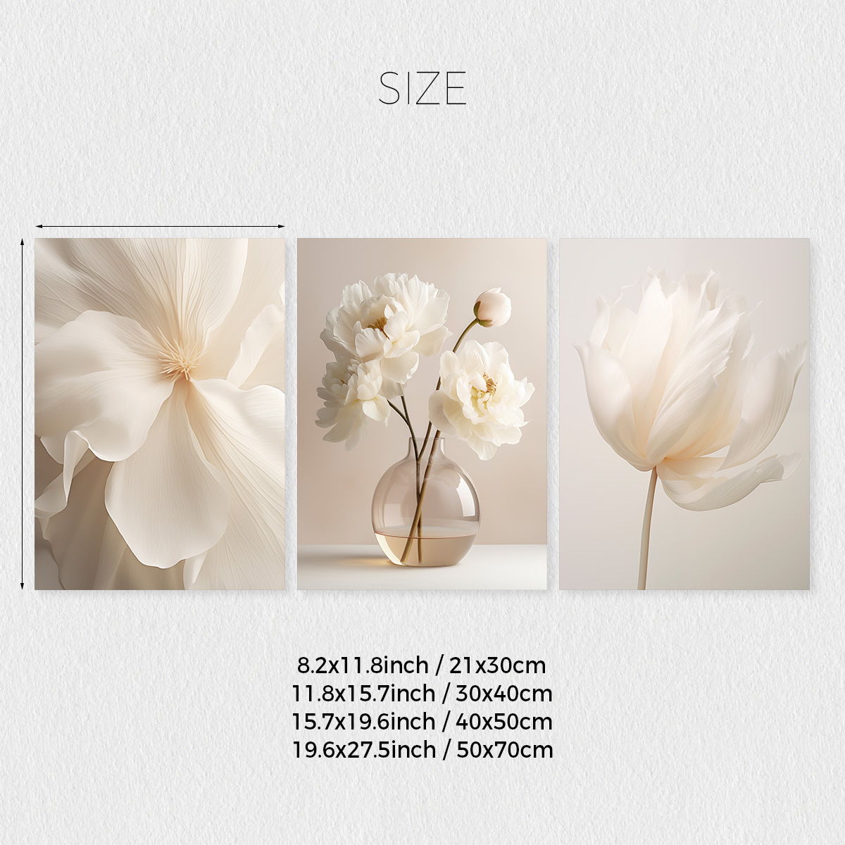 Set of 3 Minimalist White Peon - Live Plant Fertilizer avis et prix