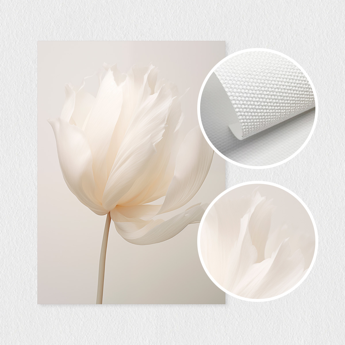 Set of 3 Minimalist White Peon - Live Plant Fertilizer avis et prix
