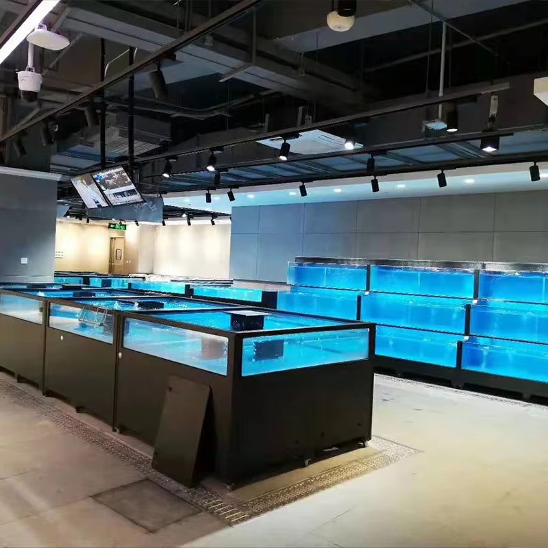 Square Glass Freshwater Fish T - Aquarium Xxl avis et prix
