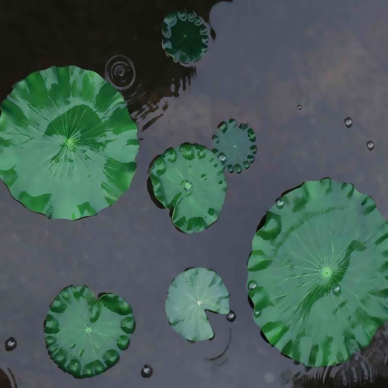2026 Artificial Water Lily Lot - Aquarium Fish Real avis et prix