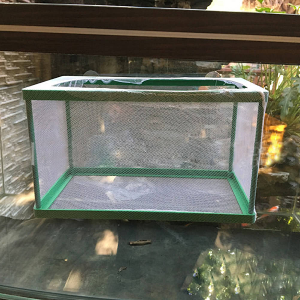 Plastic Cloth Fish Breeding Bo - Aquarium Fish Rate avis et prix