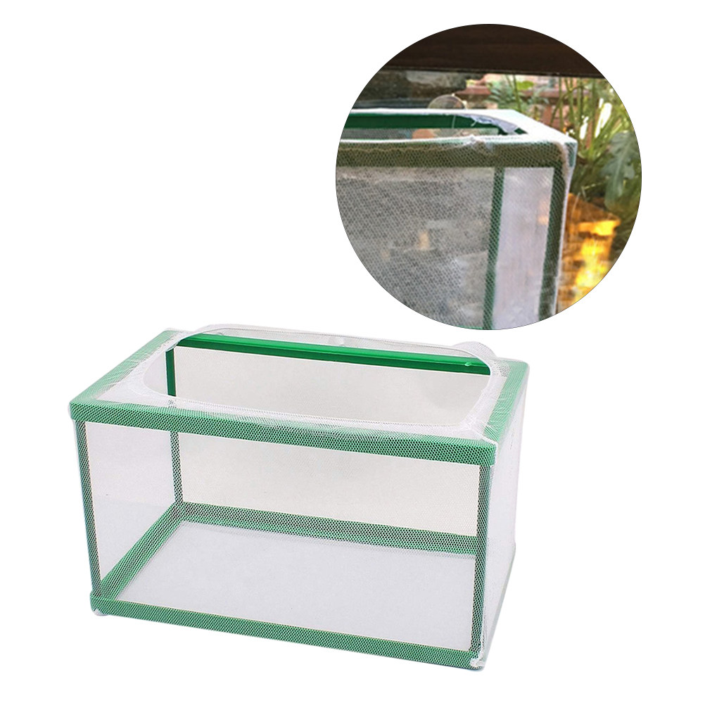 Plastic Cloth Fish Breeding Bo - Aquarium Fish Rate avis et prix