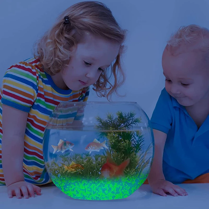 1000pcs 3-5mm Luminous Sand Gl - Aquarium Fish Real avis et prix