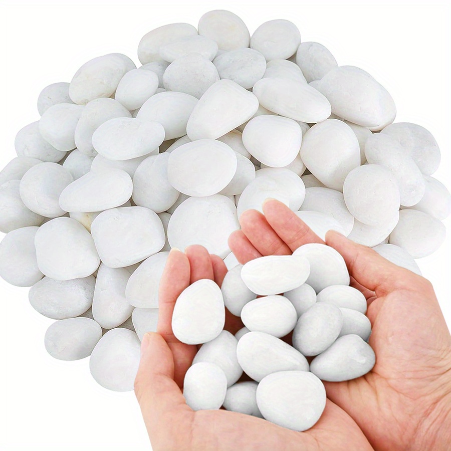 200/400g White High Polished N - Aquarium Fish Gallery avis et prix