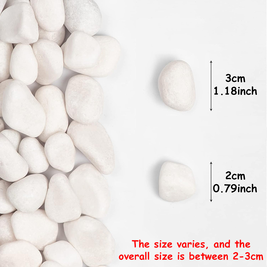 200/400g White High Polished N - Aquarium Fish Gallery avis et prix