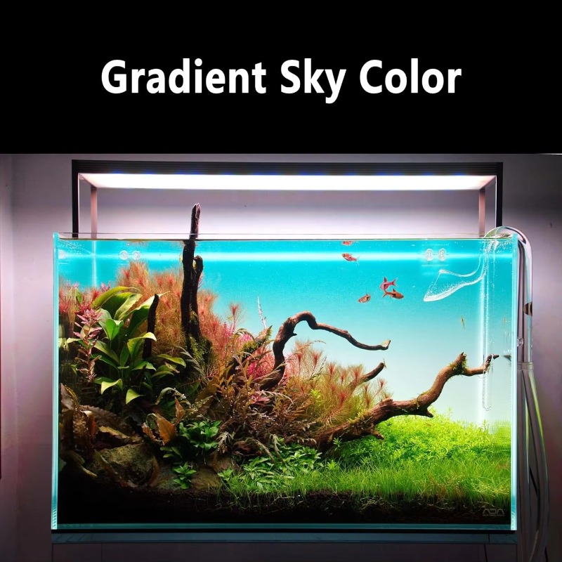 Aquarium Fish Tank Acrylic Gra - Aquarium Fish Rate avis et prix
