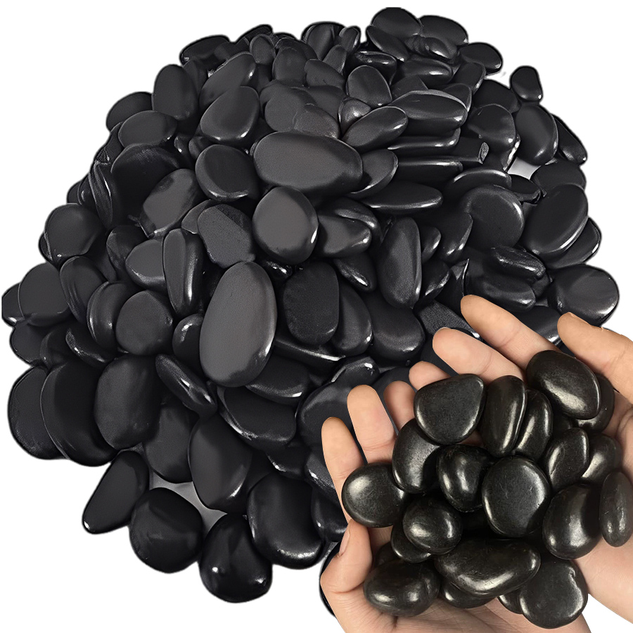 200g Black High Polished Natur - Aquarium Fish Gallery avis et prix