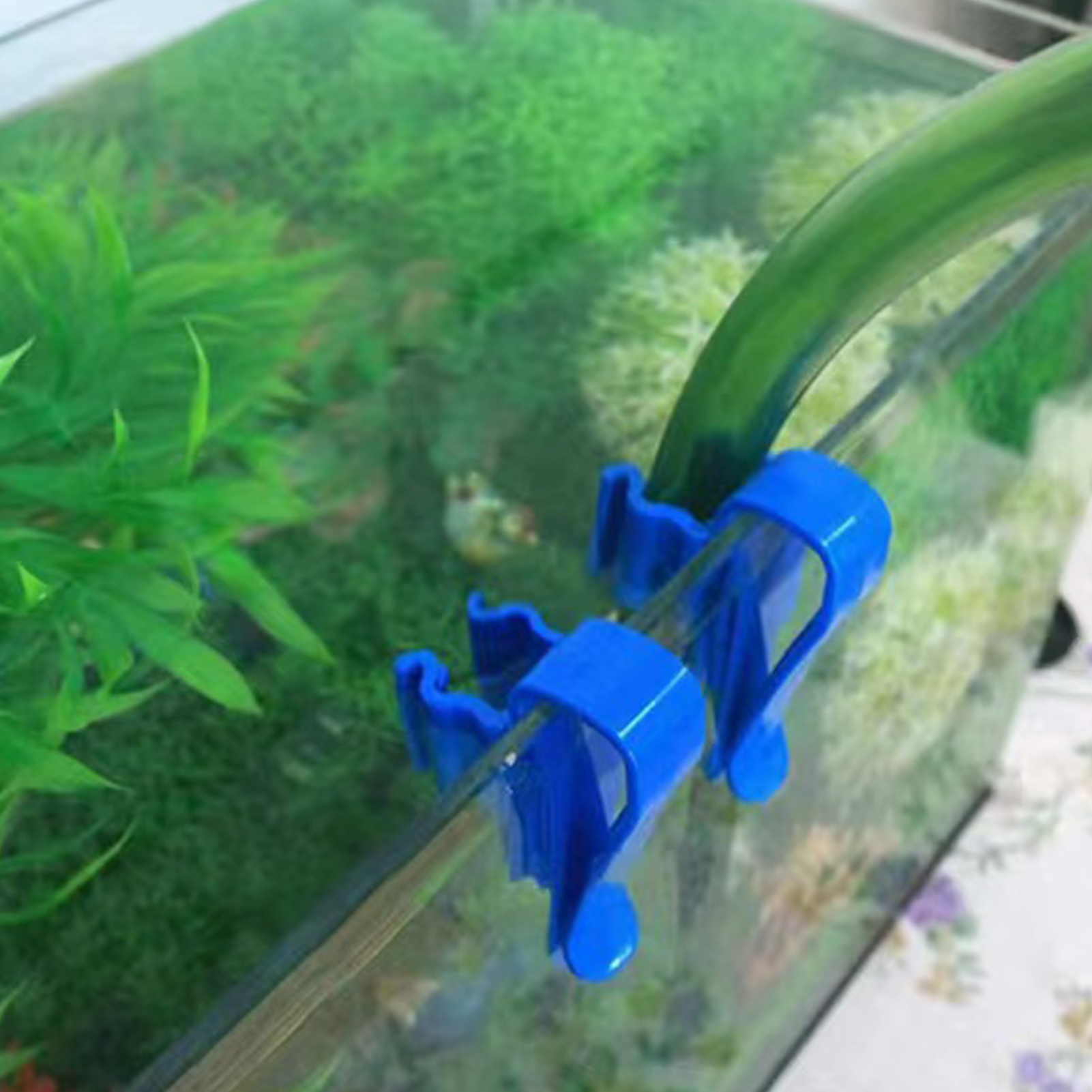 Aquarium Tube Holder Clip Fish - Aquarium Fish Real avis et prix