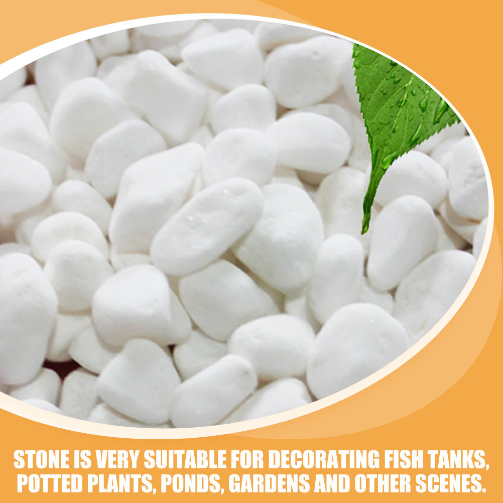 1Set White Decorative Stone El - Aquarium Fish Gallery avis et prix