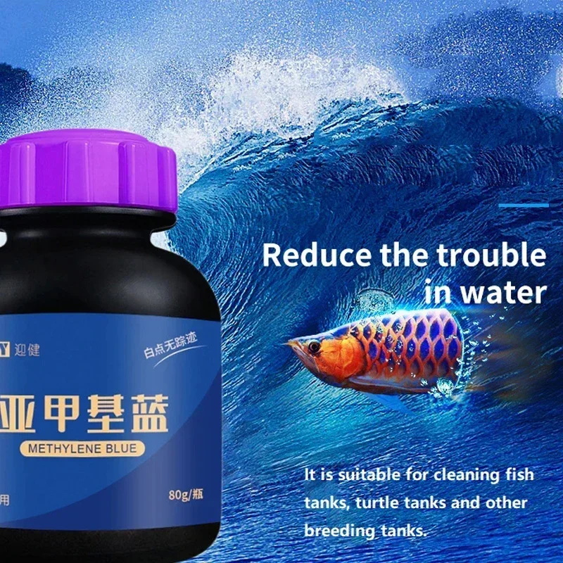 Methylene Blue Ornamental Fish - Aquarium Fish Parrot avis et prix