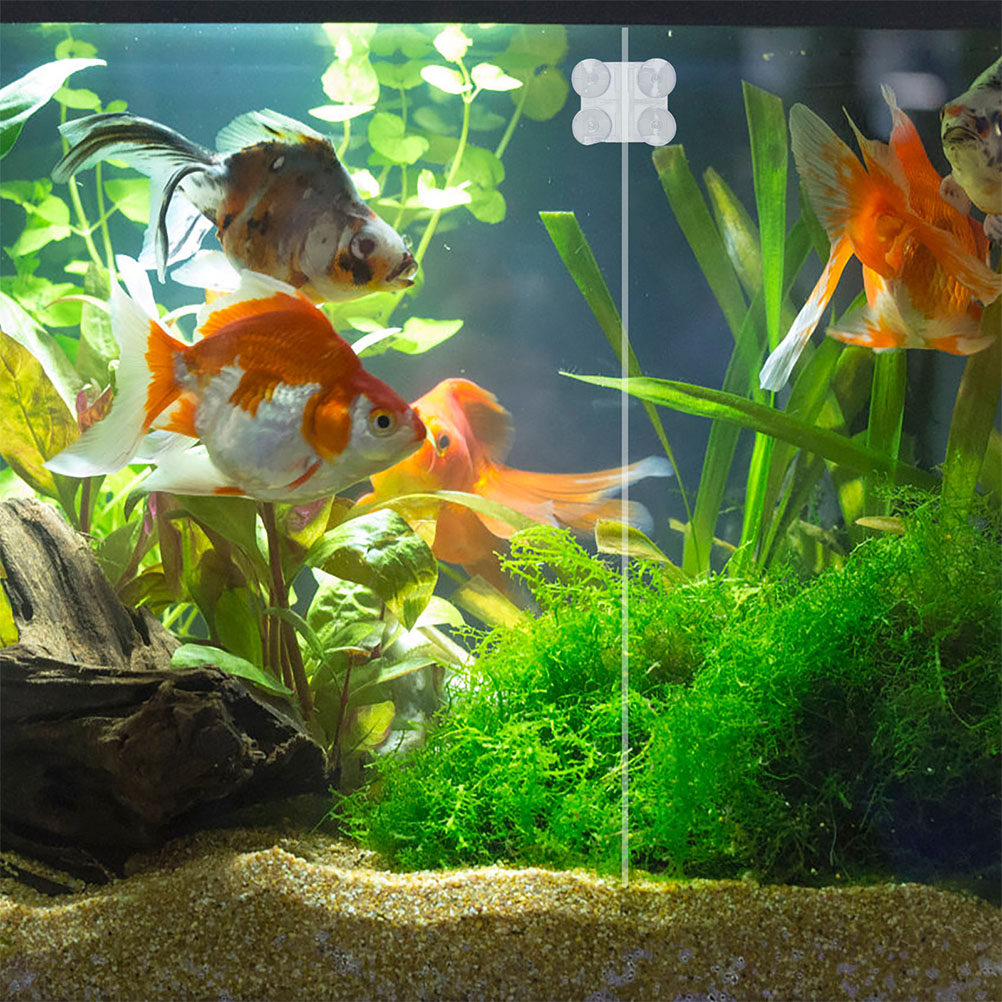 Acrylic Aquarium Divider Clip  - Aquarium Fish Rate avis et prix