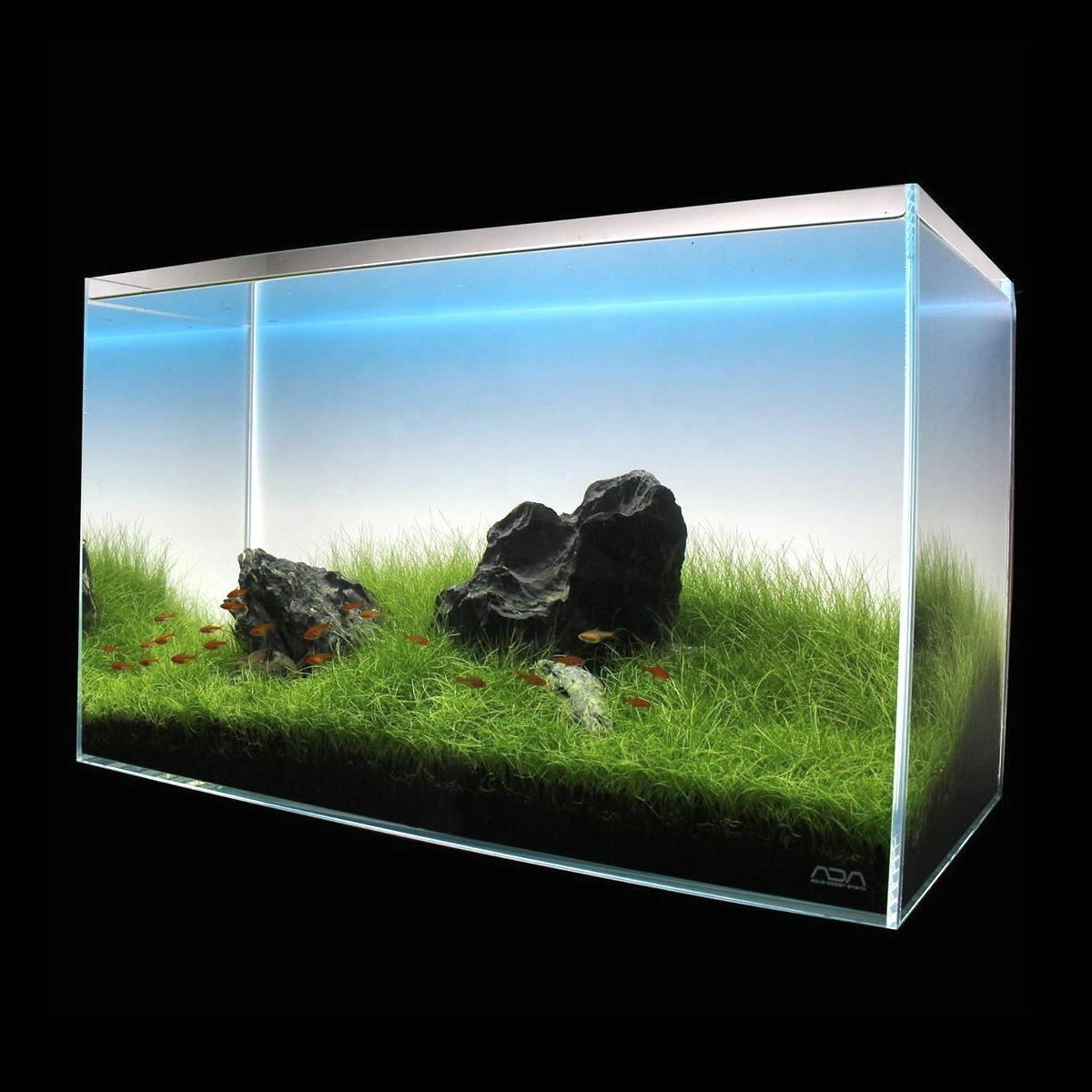 Good Quality Fish Tank Aquariu - Aquarium Fish Rate avis et prix
