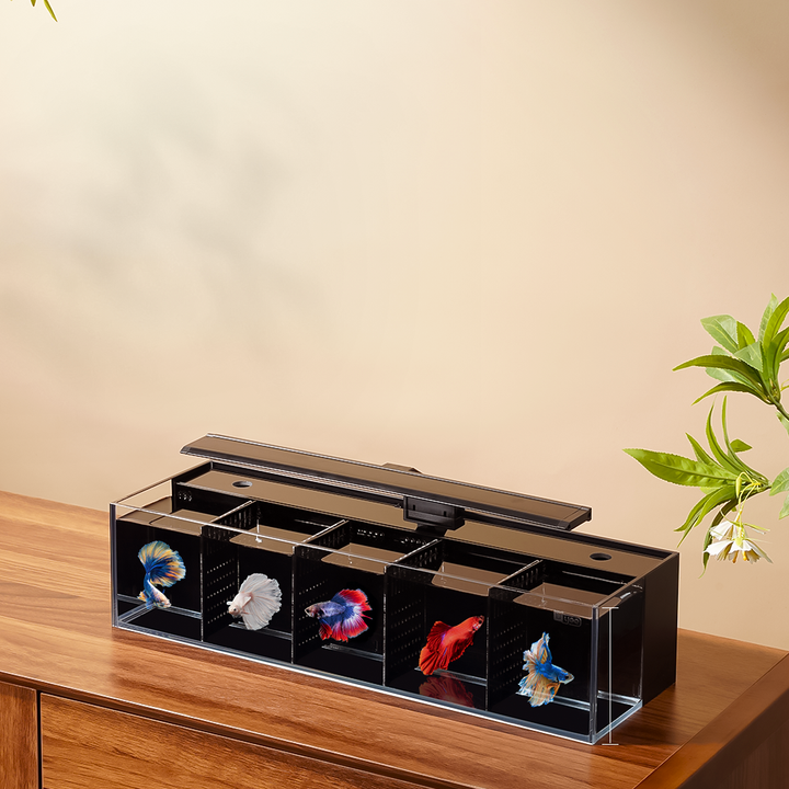 Modular Self-Cleaning Glass Fi - Aquarium Fish Zone avis et prix