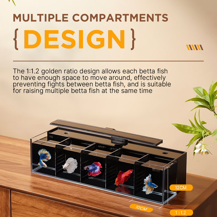 Modular Self-Cleaning Glass Fi - Aquarium Fish Zone avis et prix
