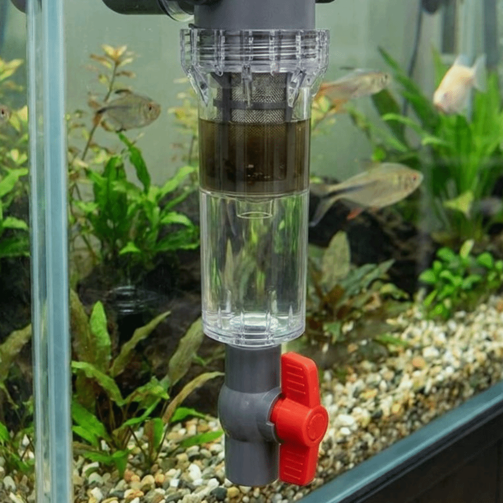 1/2 Thread Aquarium Feces Sepa - Aquarium Fish Rate avis et prix