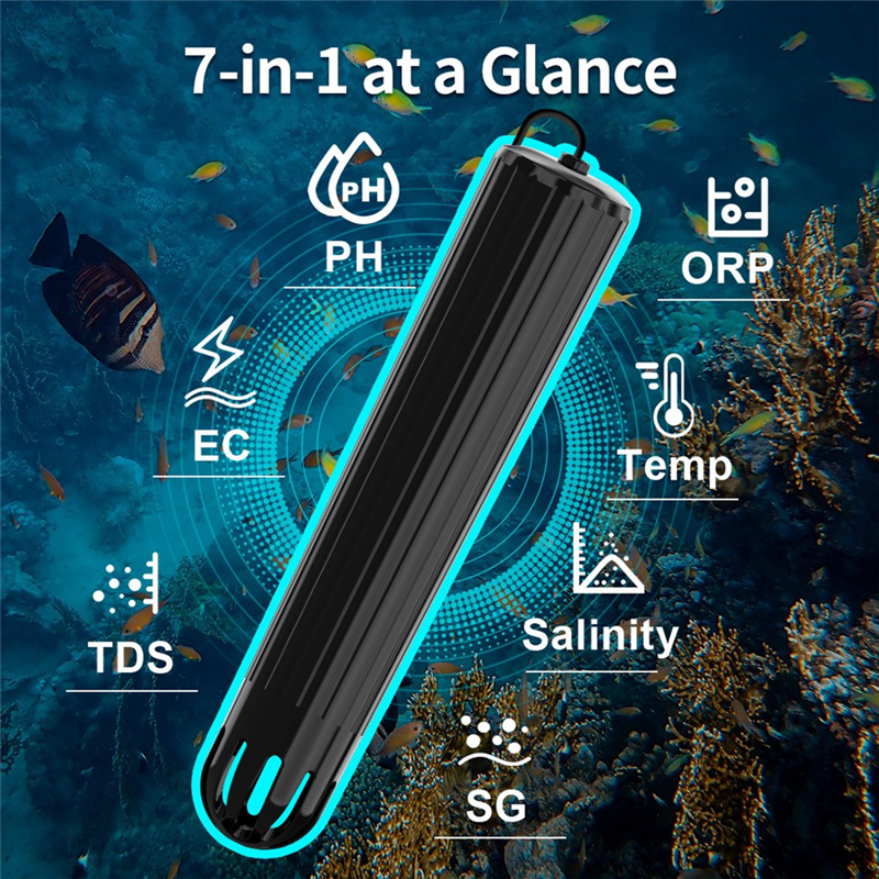 【Flash-Deal!】7 In 1 Online Wif - Aquarium Fish In Online avis et prix