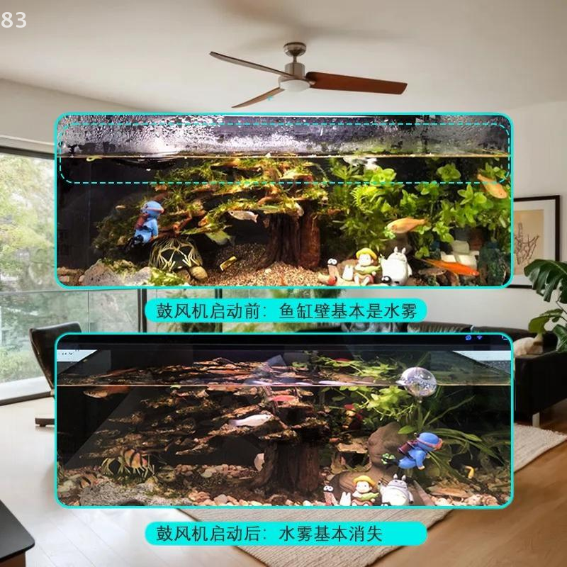 Reliable DC 5V Aquarium Fan fr - Xiaomi Aquarium Fish Tank avis et prix