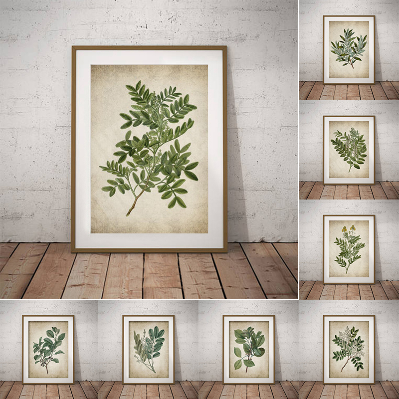 Vintage Green Leaf Botanical P - Live Plant Fertilizer avis et prix