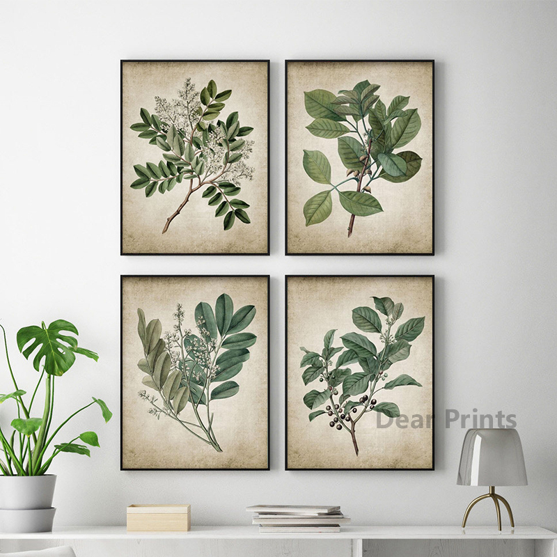 Vintage Green Leaf Botanical P - Live Plant Fertilizer avis et prix