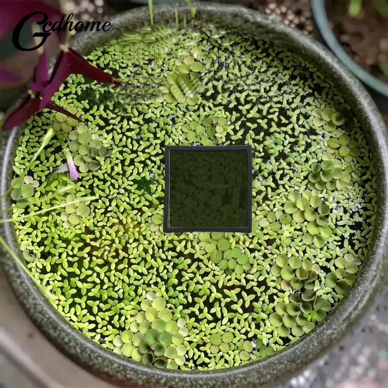 Aquarium Floating Plant Rings  - Aquarium Fish Zone avis et prix