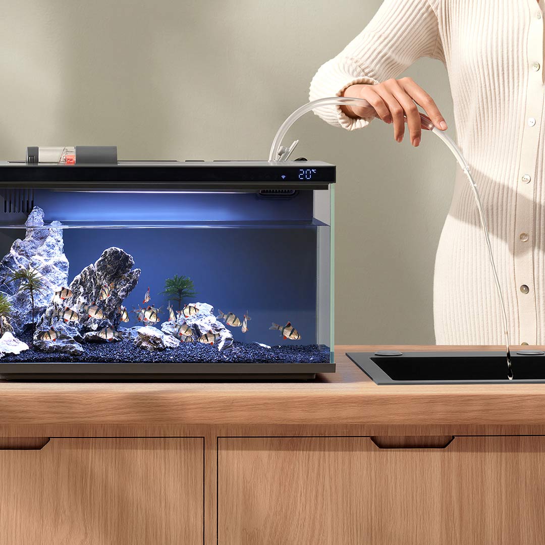 Xiaomi Mijia Smart Fish Tank M - Xiaomi Aquarium Fish Tank avis et prix