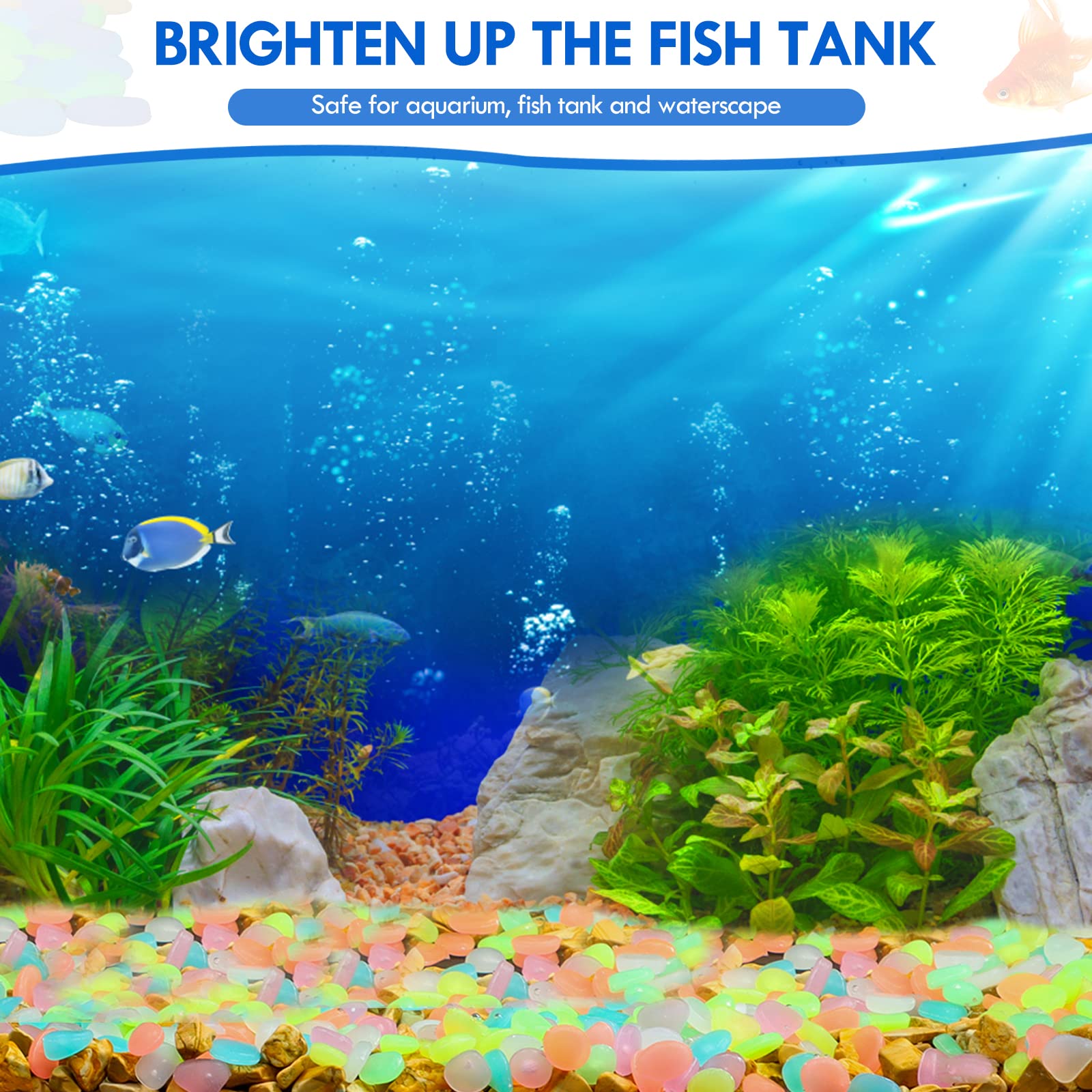100Pcs Glow in the Dark Garden - Aquarium Fish Gallery avis et prix